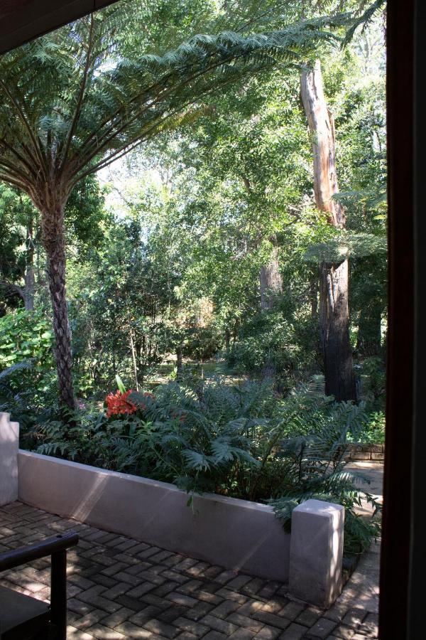 Andelomi Forest Lodge Stormsrivier Exterior photo