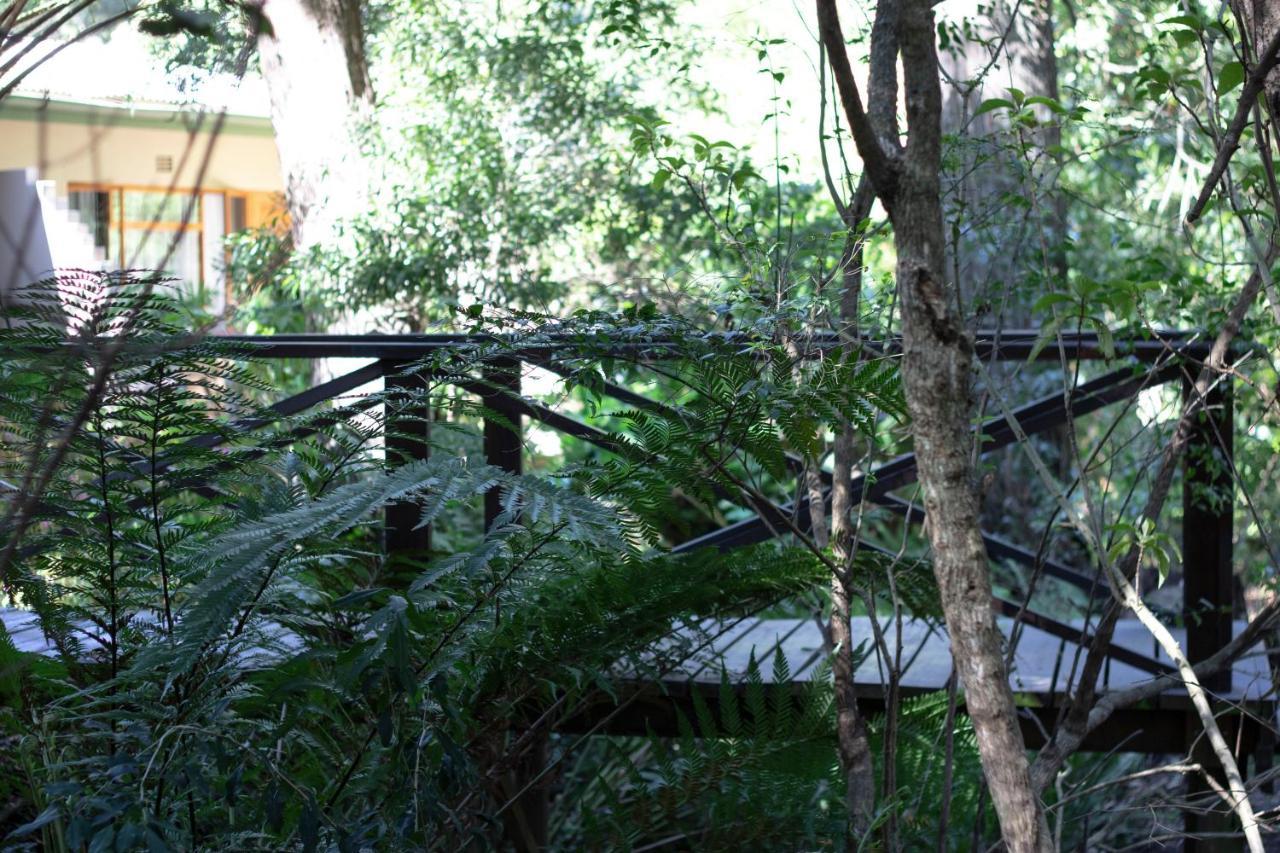 Andelomi Forest Lodge Stormsrivier Exterior photo