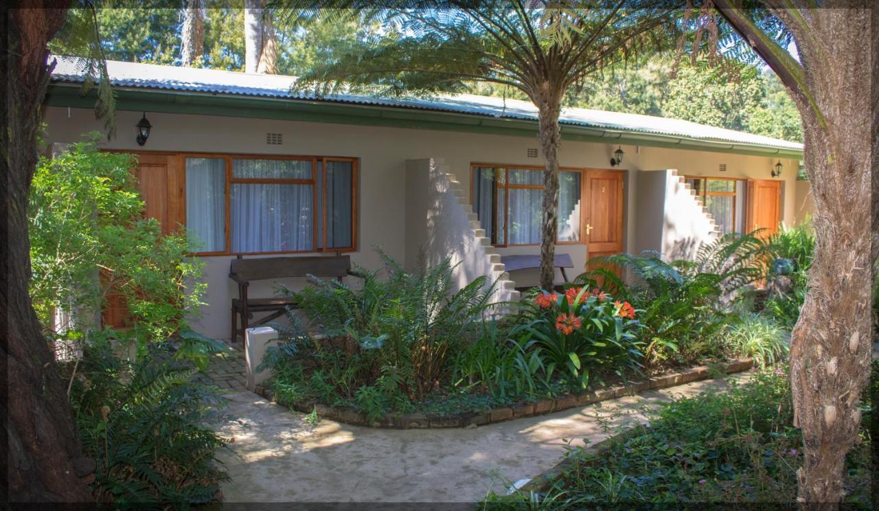 Andelomi Forest Lodge Stormsrivier Exterior photo